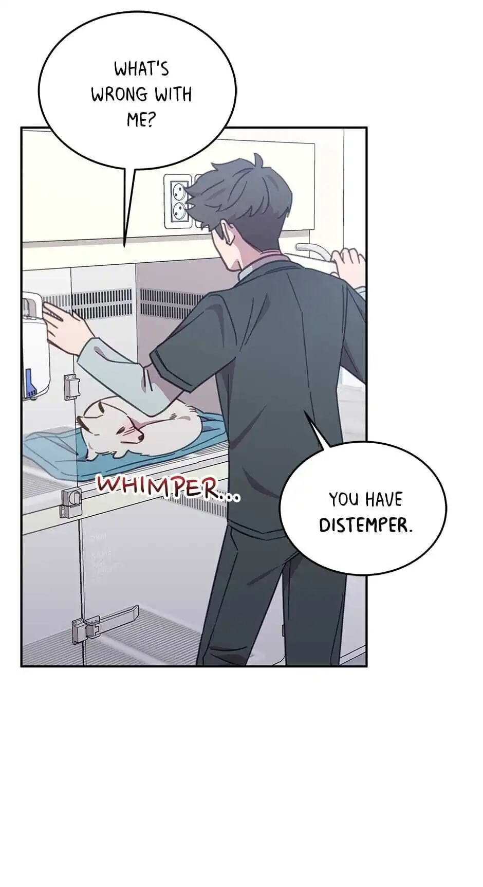 An animal hospital in the border area Chapter 25 27